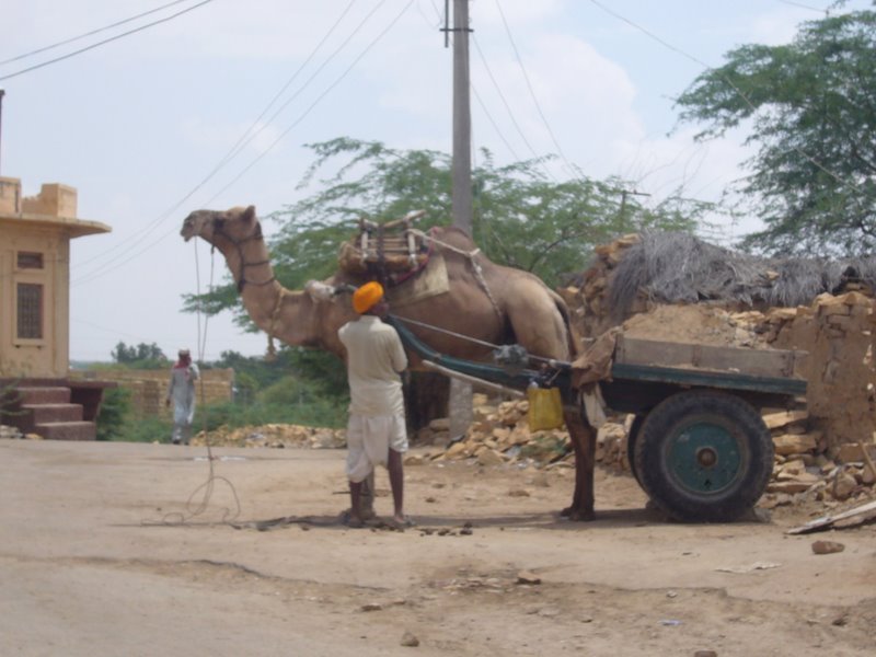 Travel - India - Rajasthan - Jaisalmer - Around Jaisalmer